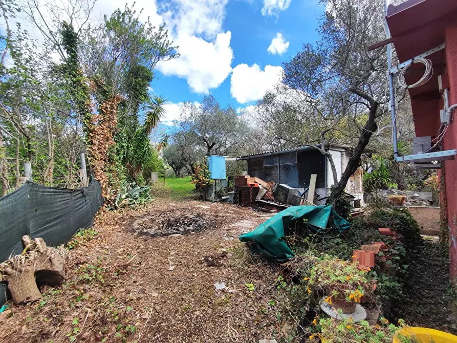 Immagine 10 di Terreno agricolo in vendita  in Via Dello Scalo Ferroviario 12 a Marcellina