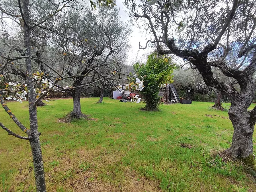 Immagine 27 di Terreno agricolo in vendita  in Via Dello Scalo Ferroviario 12 a Marcellina
