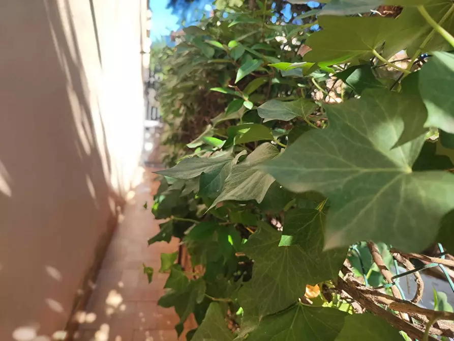 Immagine 8 di Casa indipendente in vendita  in via fratelli bandiera 26 a Guidonia Montecelio