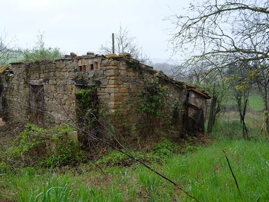 Immagine 8 di Terreno agricolo in vendita  in Contrada Salerna 129 a Cupramontana