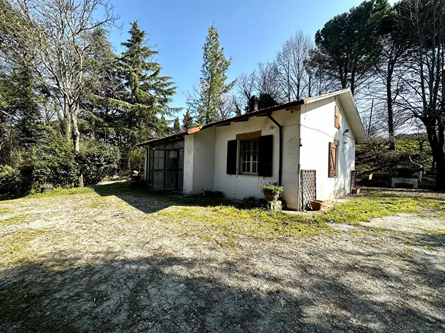 Immagine 1 di Rustico / casale in vendita  in Via Vicinale Santa Lucia a Cesena