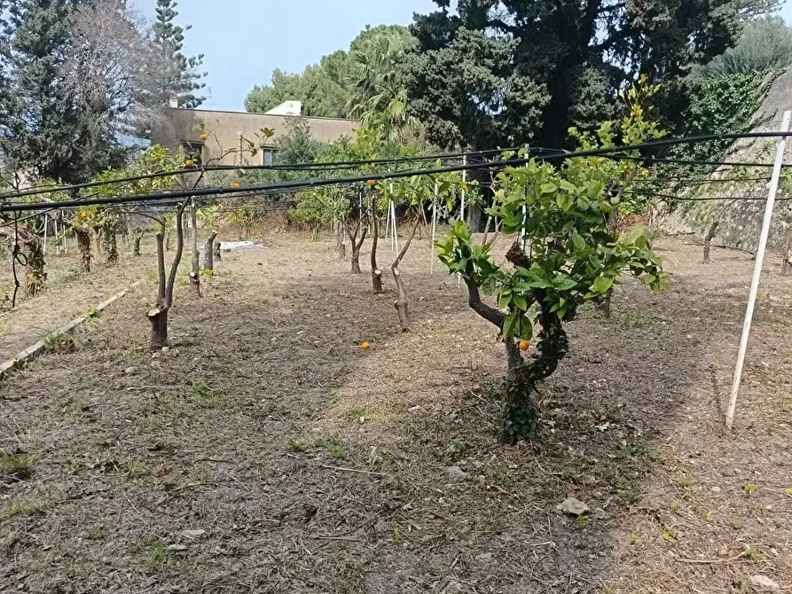 Immagine 18 di Villa in vendita  a Valderice