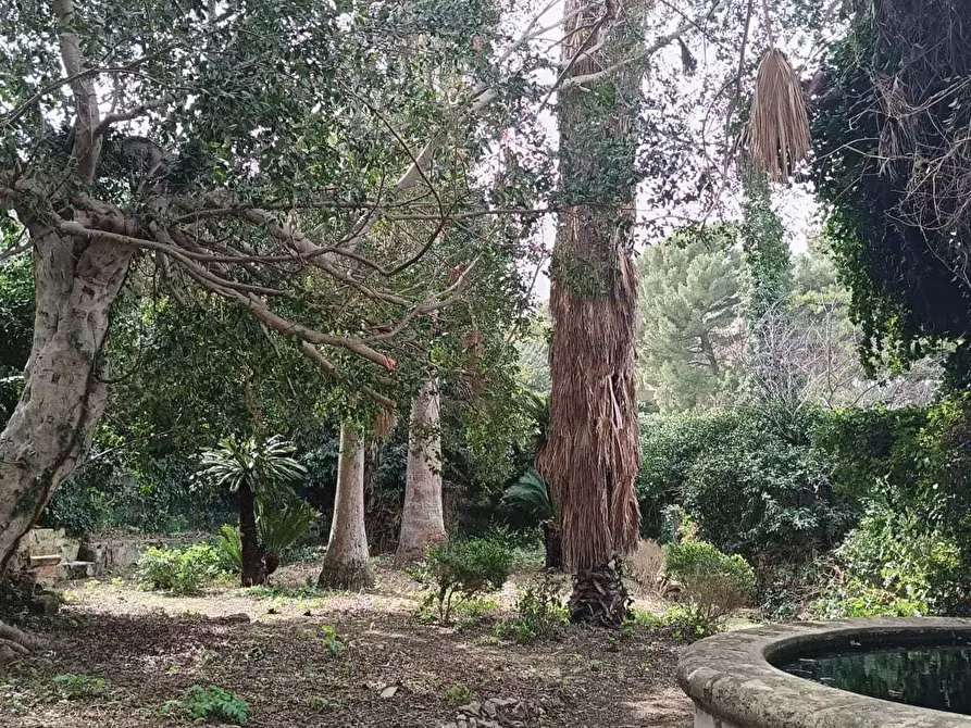 Immagine 21 di Villa in vendita  a Valderice