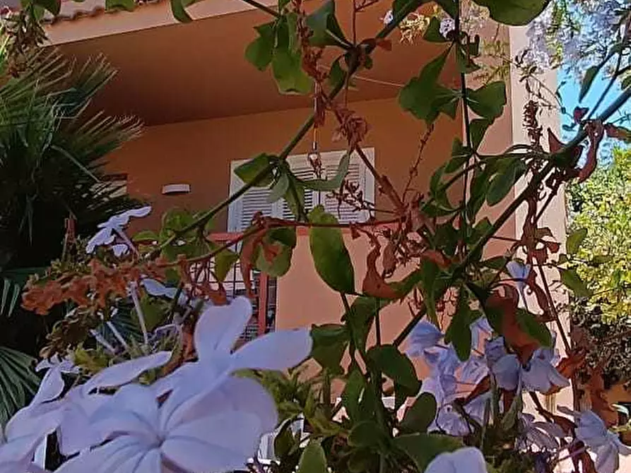 Immagine 22 di Villetta a schiera in vendita  in VIA ADONE 9 a Palermo