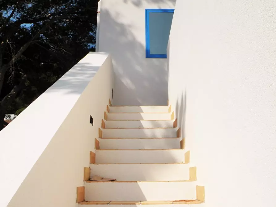 Immagine 4 di Trilocale in vendita  a Favignana