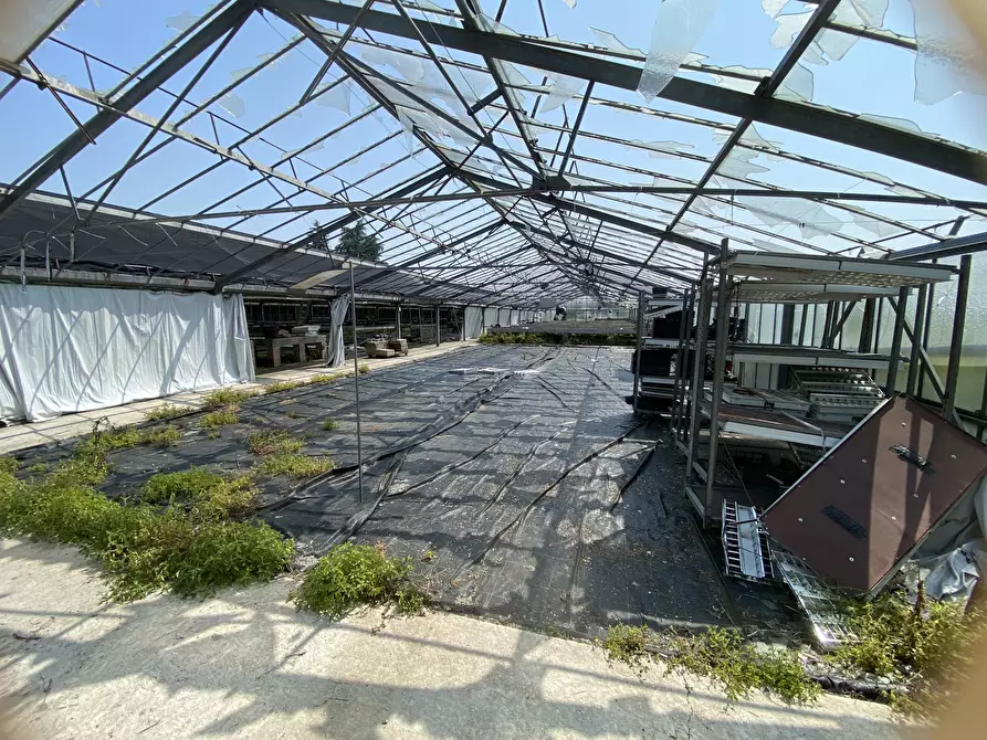 Immagine 10 di Capannone industriale in vendita  in VIA CERCA 2 a Settala