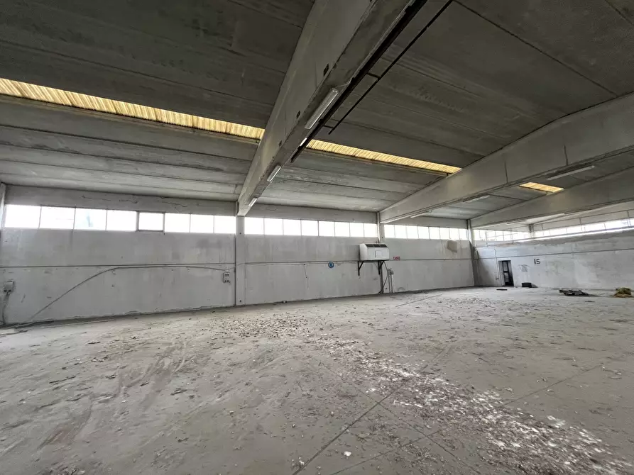 Immagine 31 di Capannone industriale in vendita  in Strada Provinciale 99 2 a Pancarana