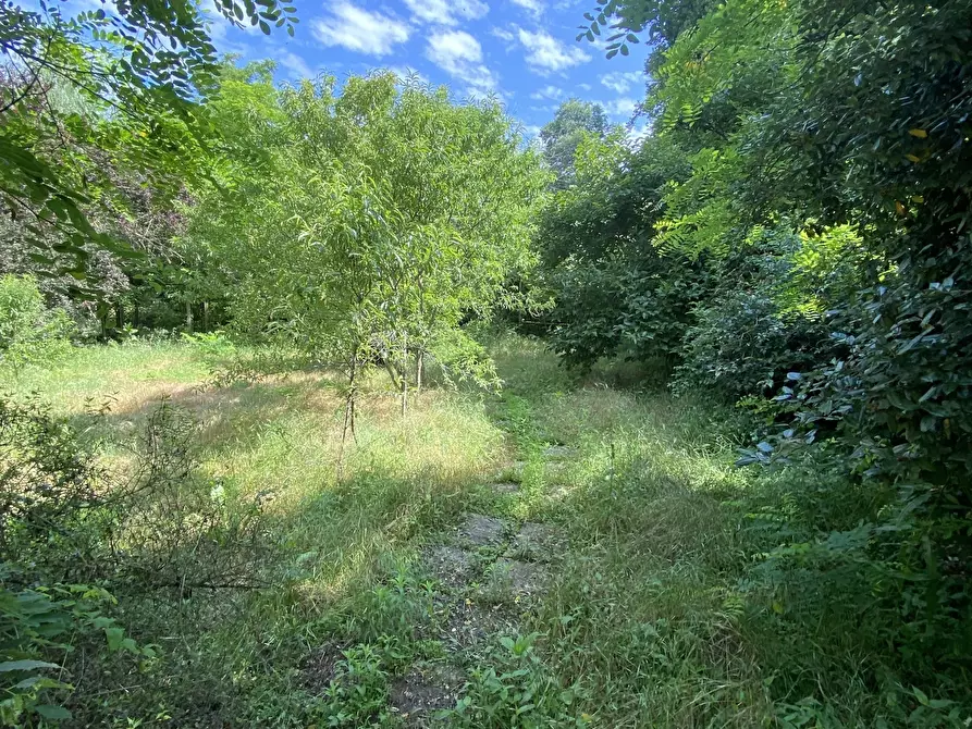 Immagine 14 di Bar / Ristorante in vendita  in VIA ROMA 10 a Moscazzano