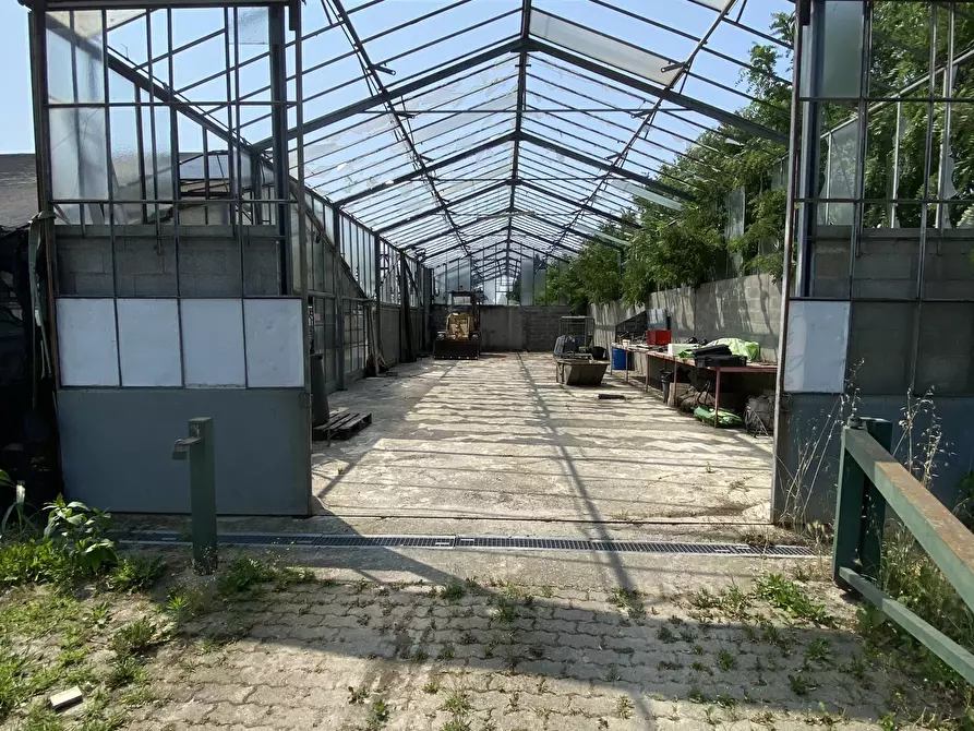 Immagine 6 di Terreno agricolo in vendita  in VIA CERCA 2 a Settala