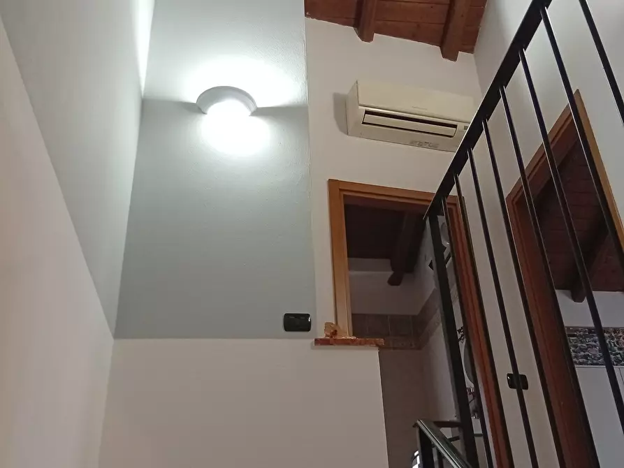 Immagine 6 di Villa in vendita  in Via Bardellina 87 a Martignana Di Po