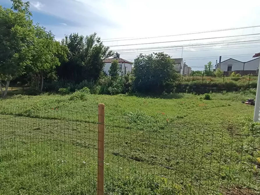 Immagine 17 di Rustico / casale in vendita  a Polesella