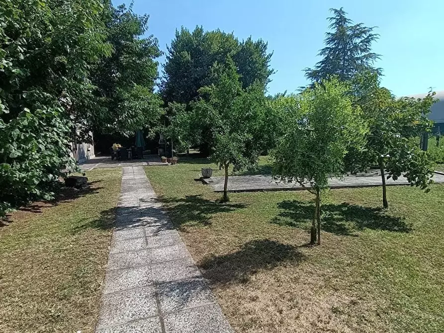Immagine 30 di Casa indipendente in vendita  a Arqua' Polesine