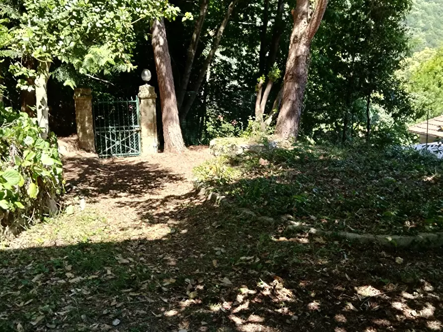 Immagine 5 di Villa in vendita  a San Remo