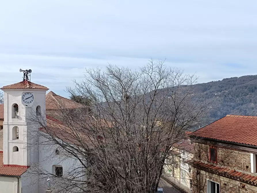 Immagine 18 di Terratetto in vendita  in Corso Umberto I a Platania