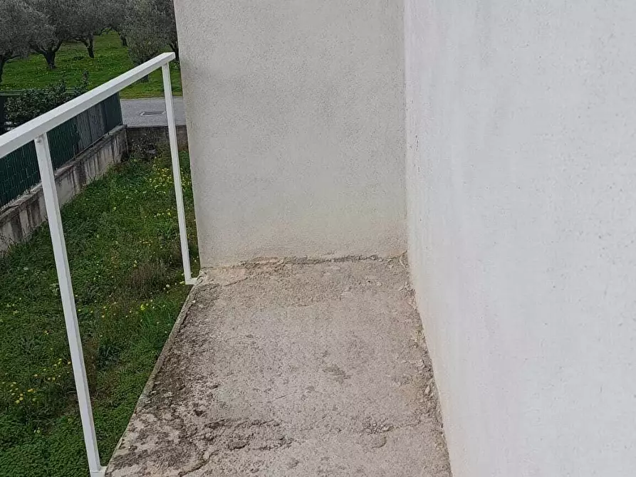 Immagine 6 di Villa in vendita  in Località Scalo Ferroviario a Feroleto Antico