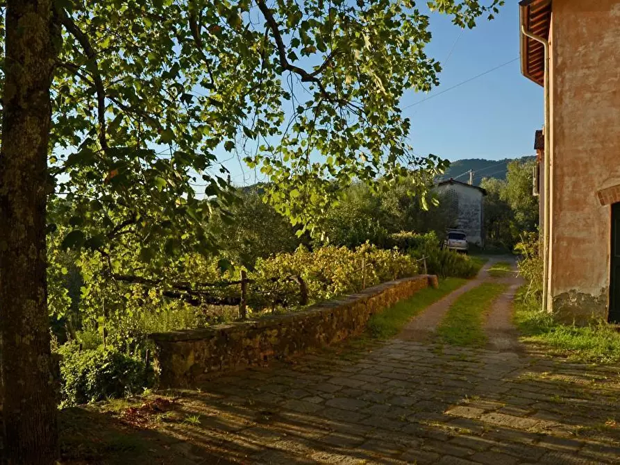 Immagine 38 di Villa in vendita  a Sarzana