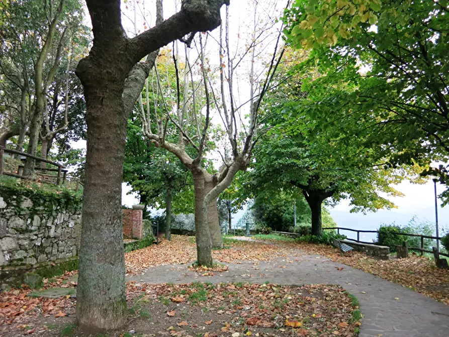 Immagine 15 di Quadrilocale in vendita  a Vezzano Ligure