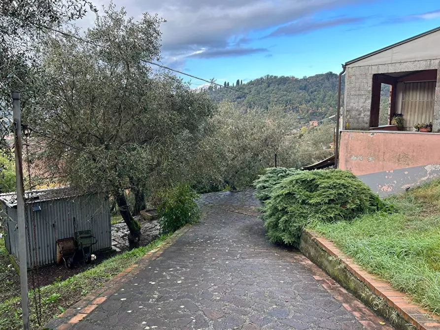 Immagine 2 di Casa indipendente in vendita  a Sarzana