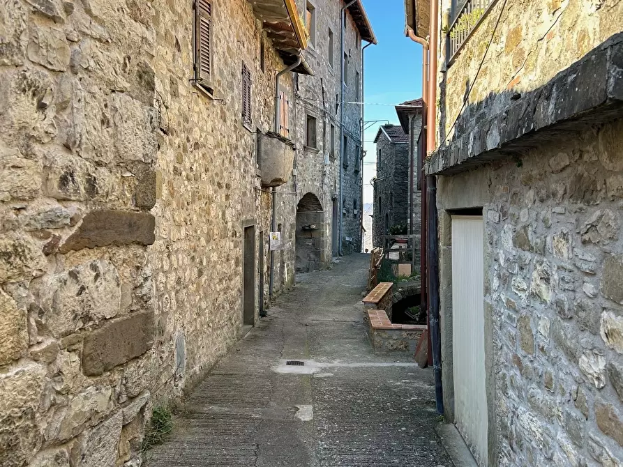 Immagine 5 di Terratetto in vendita  in Località Luscignano 18 a Casola In Lunigiana