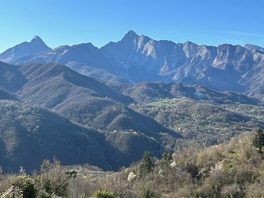Immagine 20 di Casa indipendente in vendita  in Località Luscignano 18 a Casola In Lunigiana
