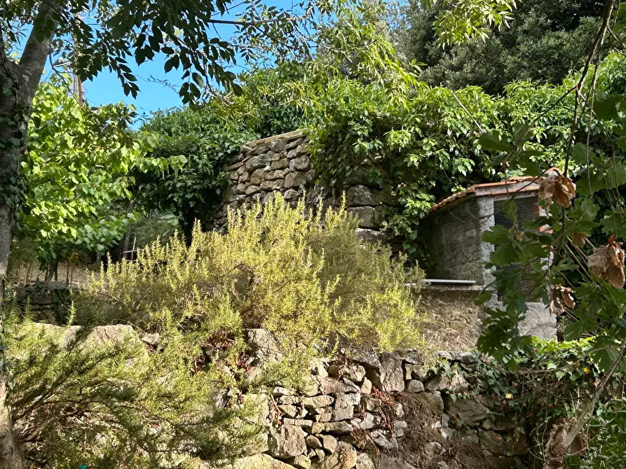 Immagine 4 di Rustico / casale in vendita  a Ameglia