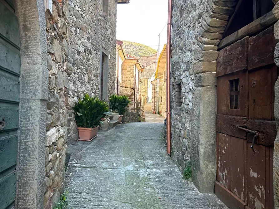 Immagine 8 di Terratetto in vendita  in Località Luscignano 18 a Casola In Lunigiana