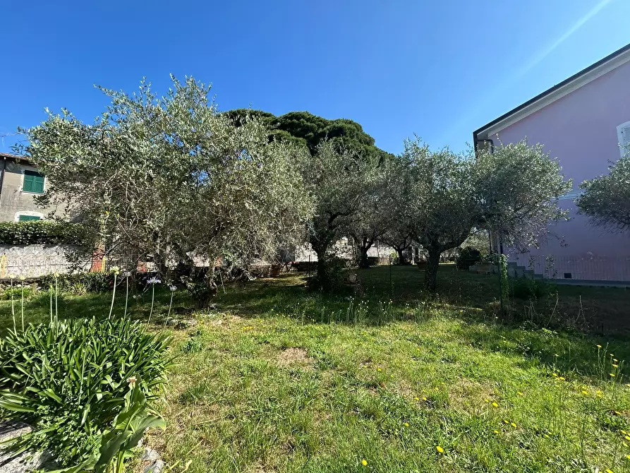 Immagine 15 di Casa indipendente in vendita  a Sarzana