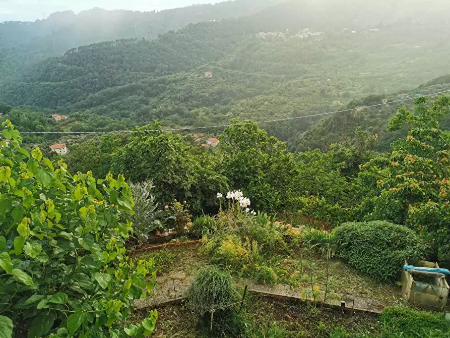 Immagine 1 di Rustico / casale in vendita  a Fosdinovo