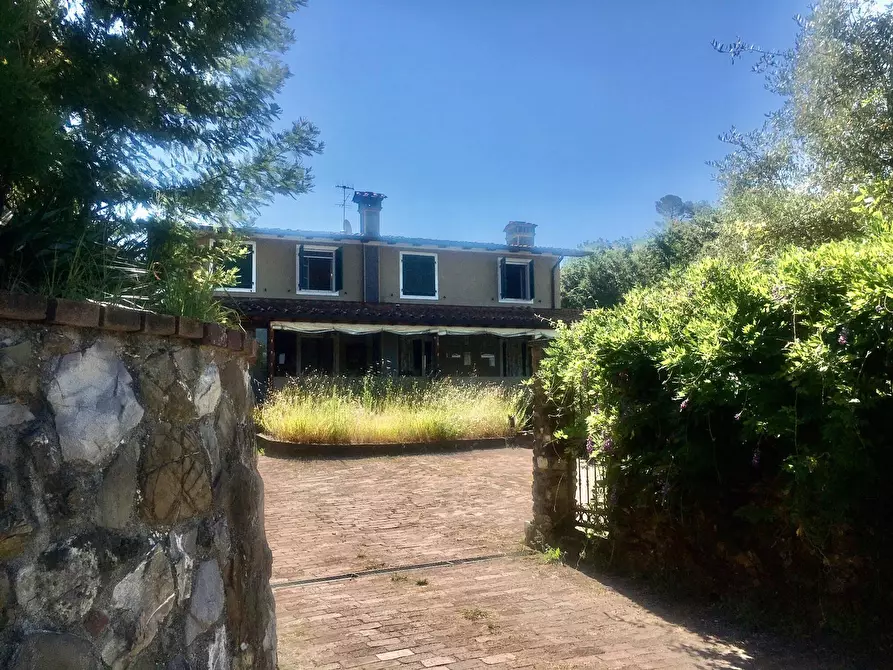 Immagine 5 di Agriturismo in vendita  a Castelnuovo Magra