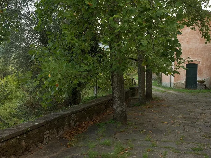 Immagine 65 di Villa in vendita  a Sarzana