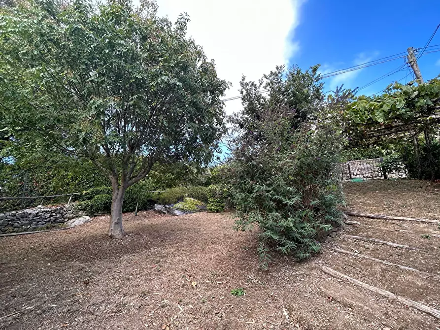 Immagine 11 di Rustico / casale in vendita  a Ameglia