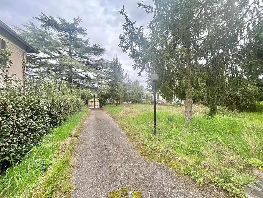 Immagine 7 di Casa bifamiliare in vendita  a Sarzana