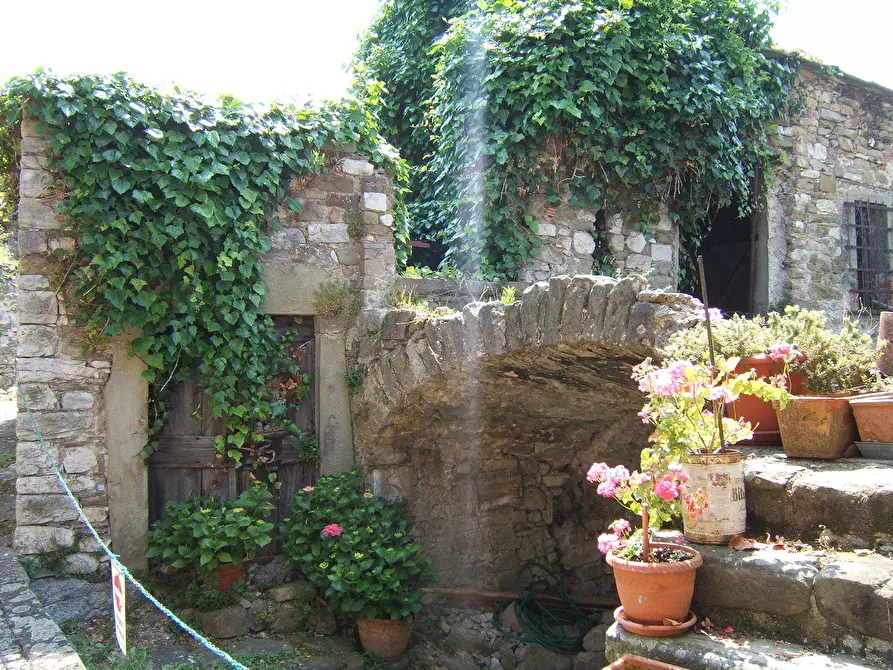 Immagine 61 di Casa indipendente in vendita  in Località Luscignano 18 a Casola In Lunigiana