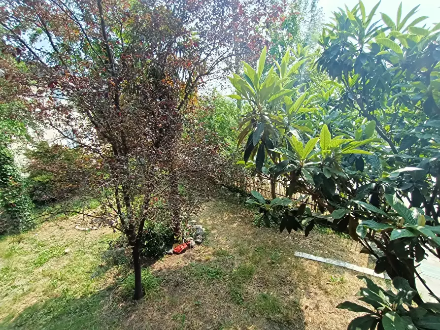 Immagine 8 di Casa indipendente in affitto  in Via Creta a Ziano Piacentino