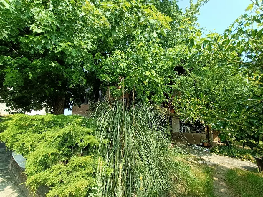 Immagine 32 di Casa indipendente in affitto  in Via Creta a Ziano Piacentino