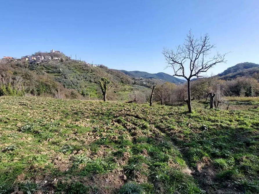 Immagine 11 di Terreno agricolo in vendita  in via casa vicinanza a Salerno