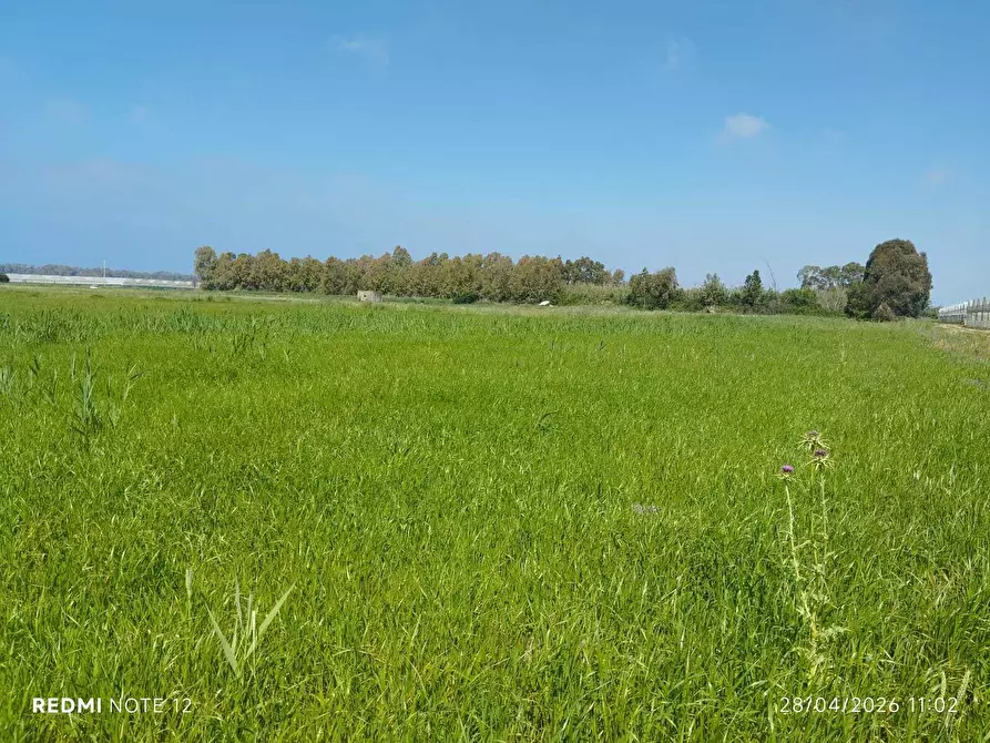 Immagine 10 di Terreno agricolo in vendita  in via bernardo tanucci a Eboli