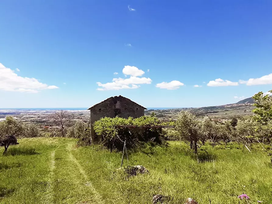 Immagine 2 di Terreno agricolo in vendita  in via contrada maiano a Montecorvino Rovella