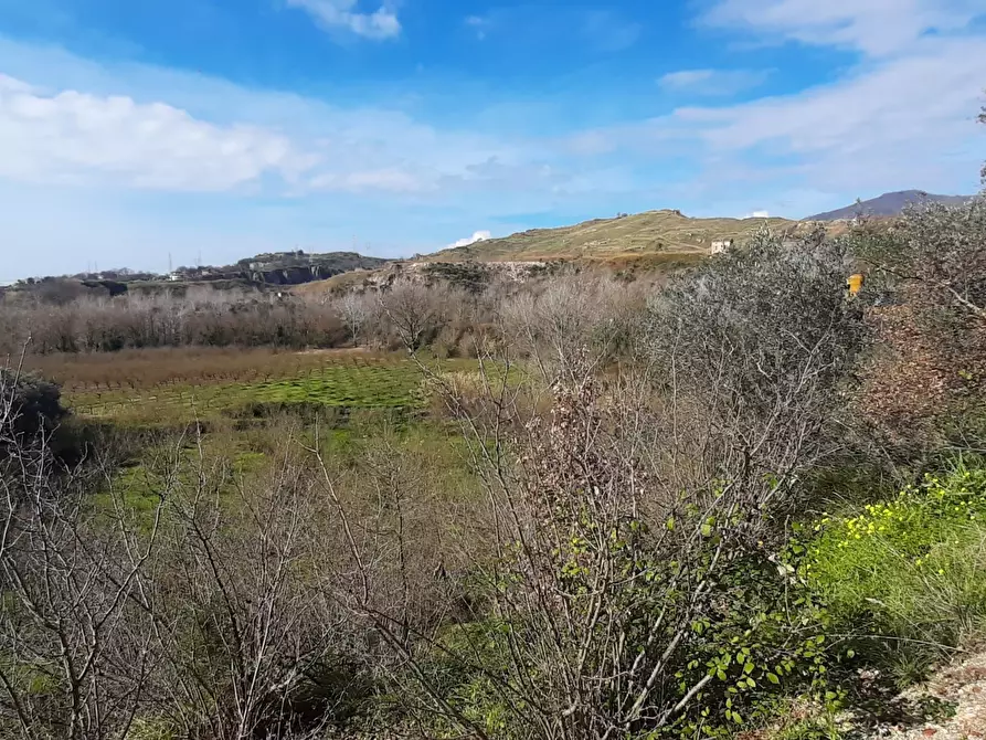 Immagine 7 di Terreno agricolo in vendita  in via raiello a Montecorvino Rovella