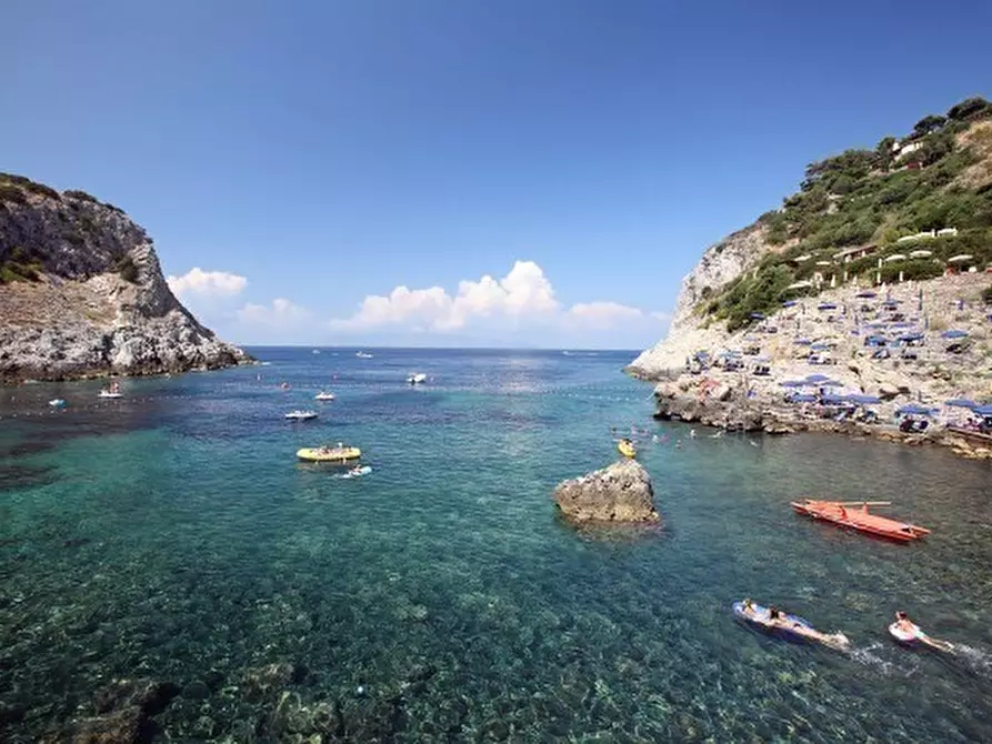 Immagine 5 di Appartamento in vendita  in Cala Piccola snc a Monte Argentario