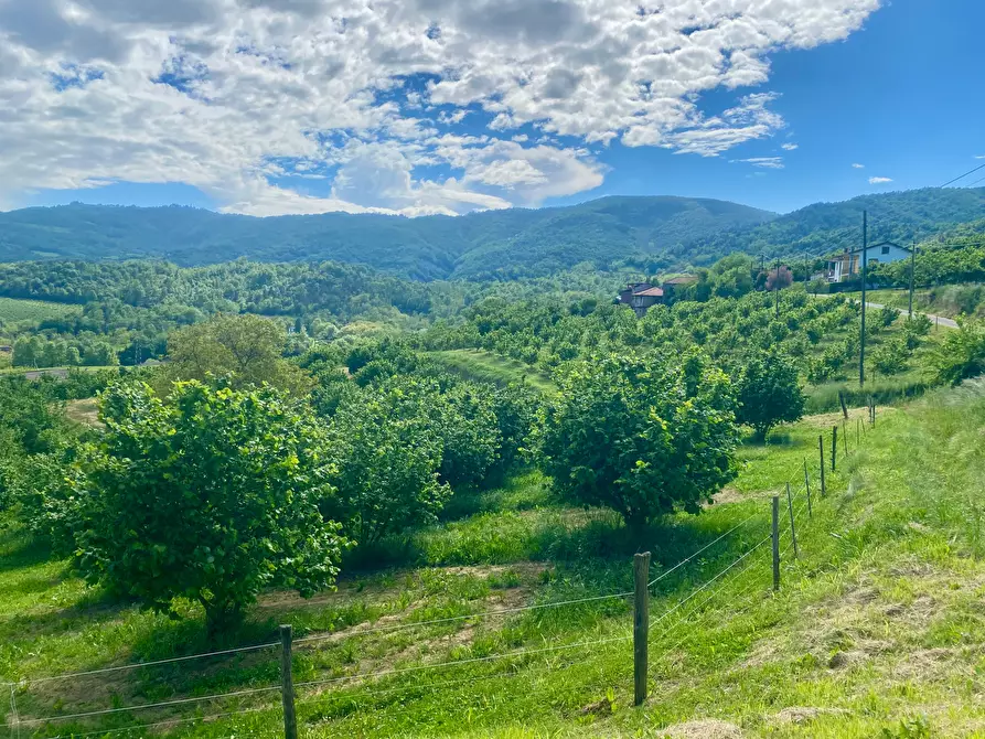 Immagine 24 di Rustico / casale in vendita  in Frazione Robertiero 14 a Gorzegno