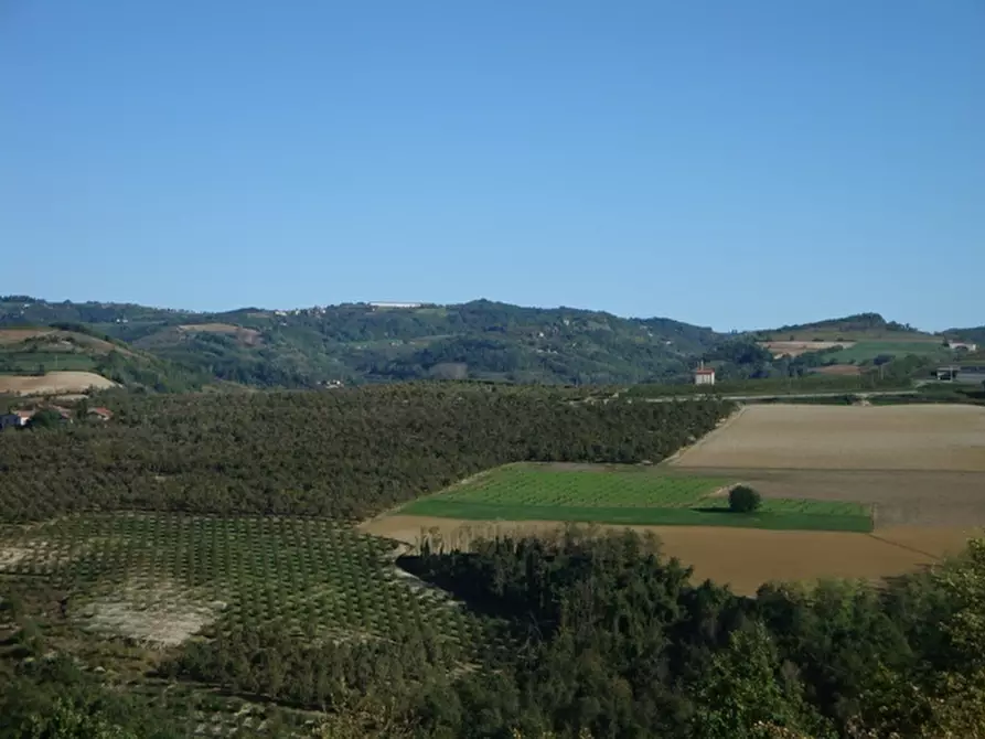Immagine 15 di Casa indipendente in vendita  in Borgata Pamparato 29 a Dogliani