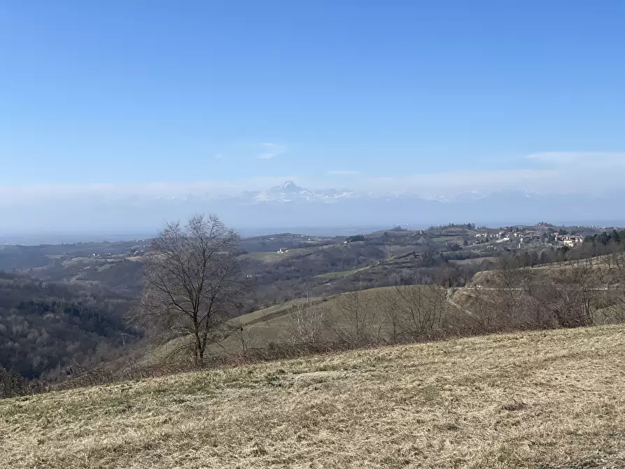 Immagine 3 di Terreno edificabile in vendita  in località Crovera a Murazzano