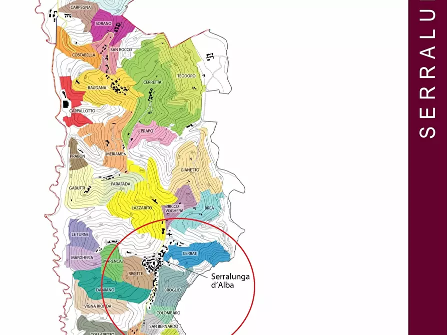 Immagine 10 di Terreno agricolo in vendita  in Via Roma 8 a Serralunga D'alba