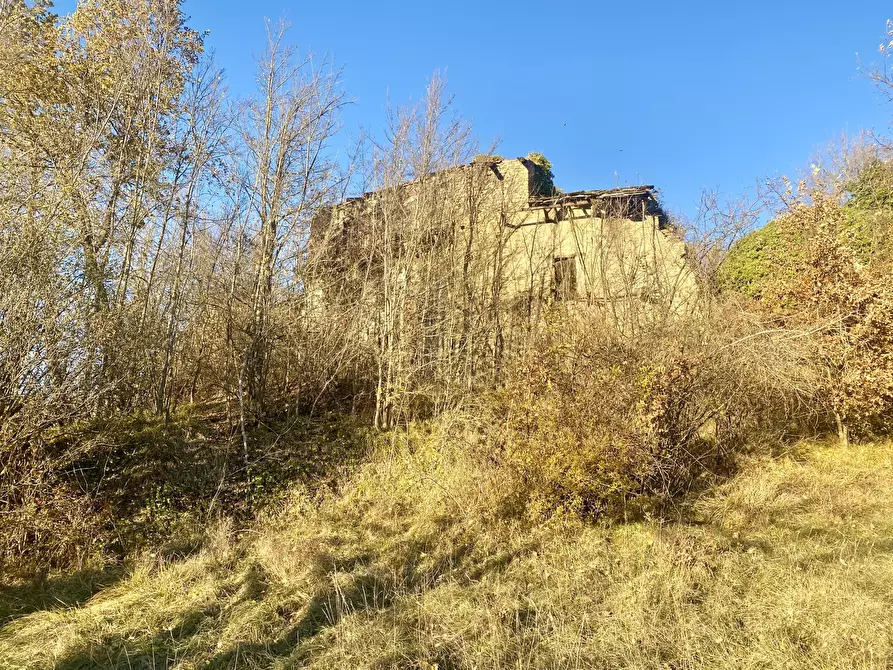 Immagine 3 di Terreno agricolo in vendita  in SP115 15 a Marsaglia