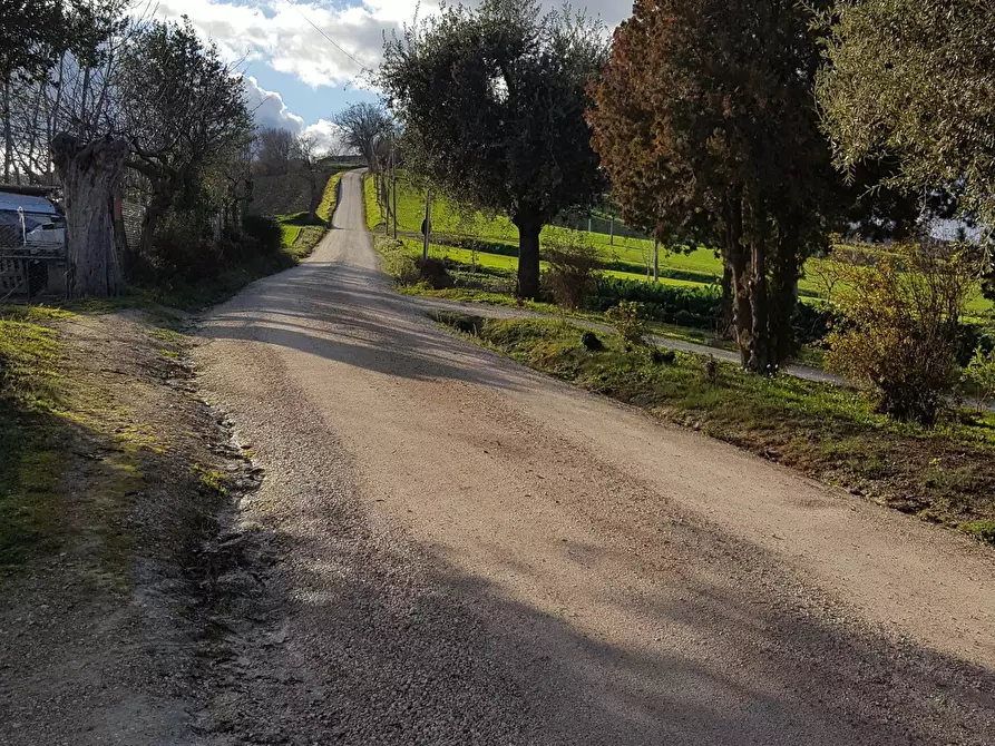 Immagine 14 di Rustico / casale in vendita  a Senigallia