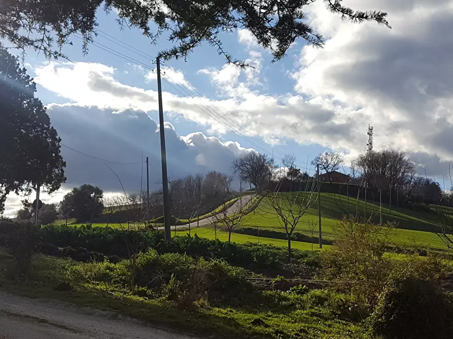 Immagine 15 di Rustico / casale in vendita  a Senigallia