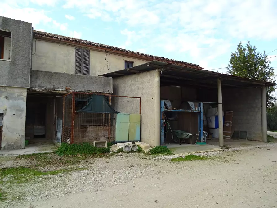 Immagine 31 di Rustico / casale in vendita  a Senigallia