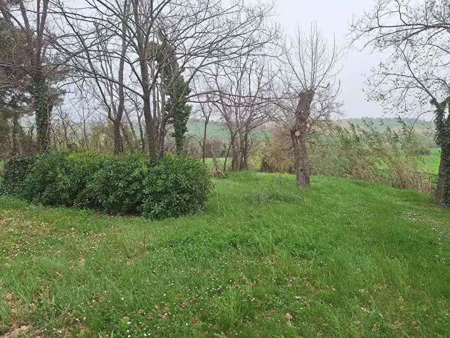 Immagine 8 di Rustico / casale in vendita  a Corinaldo