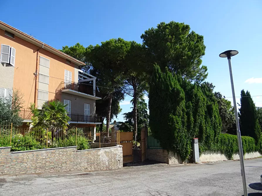 Immagine 3 di Villa in vendita  a Corinaldo